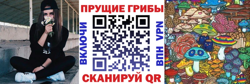 что такое наркотик  Торопец  Галлюциногенные грибы прущие грибы 